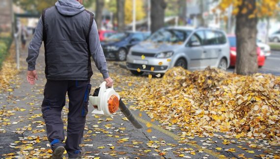全面的素地規劃評估