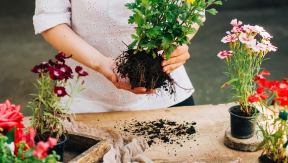 全面的營運管理與銷售支持